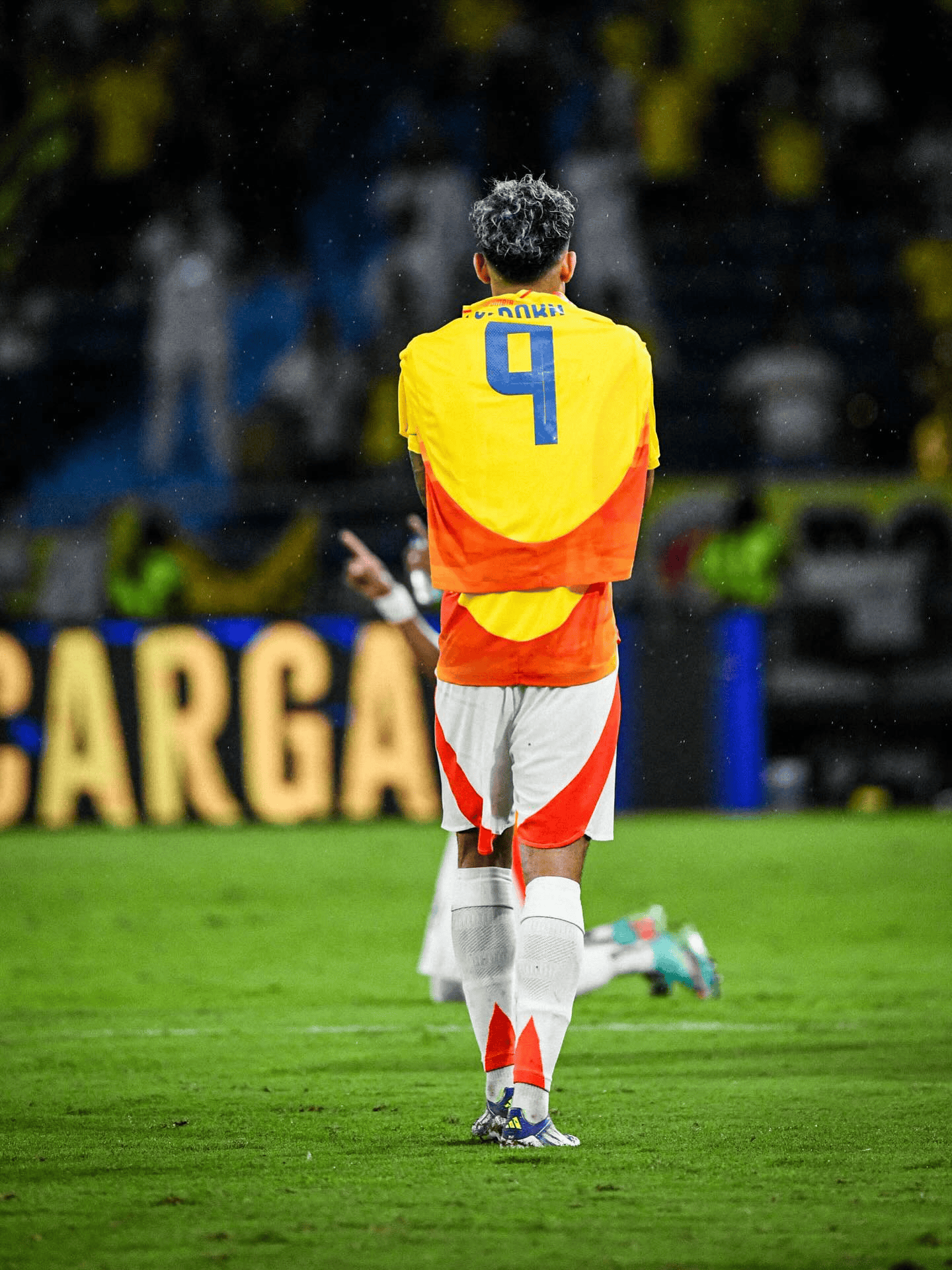 晋级世界杯, img