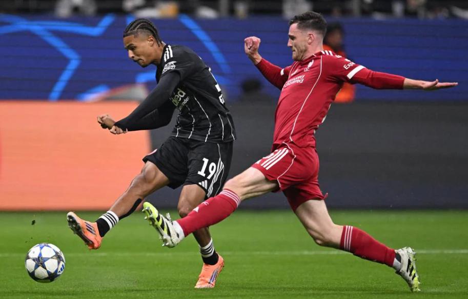 哈托禁区内 哈托禁区内