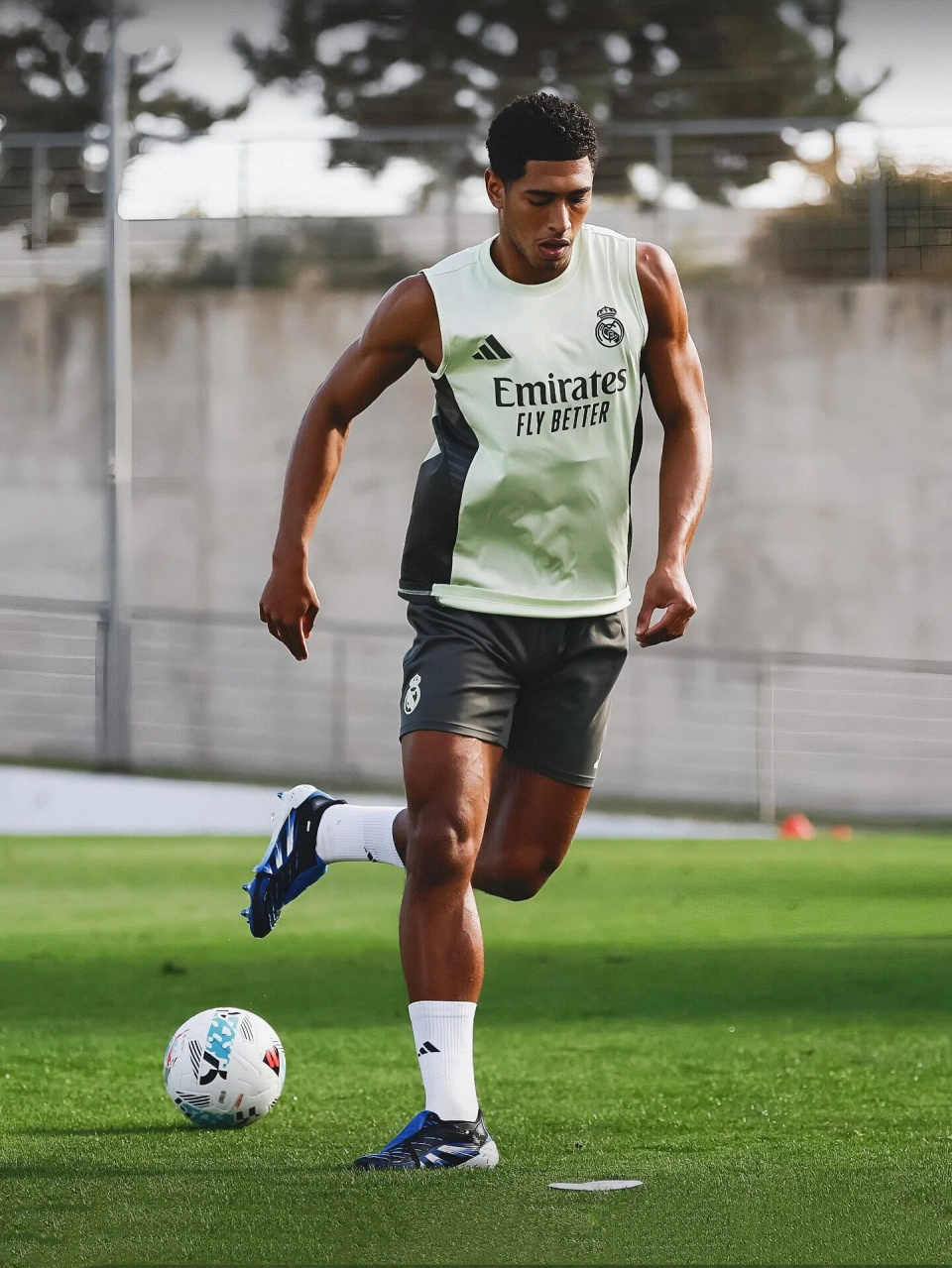 发布了皇马, Wob